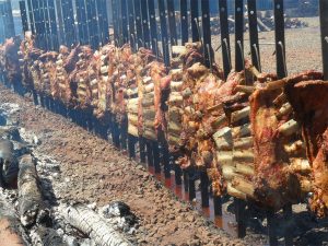 Expressos Gaúchas ou Gauchês