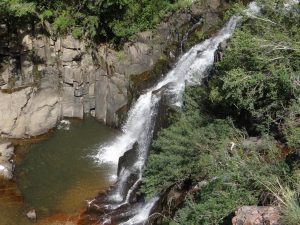 rodosoft-cacapava-do-sul-01