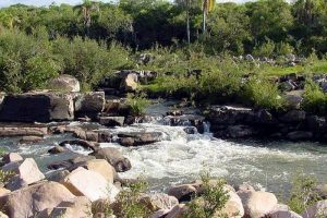 rodosoft-sao-sepe-03