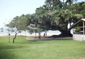 Praia dos Pinheirais - Tapes